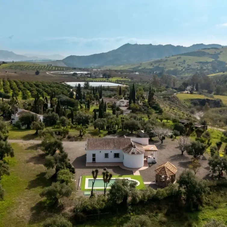 Sale of finca - cortijo in Casarabonela