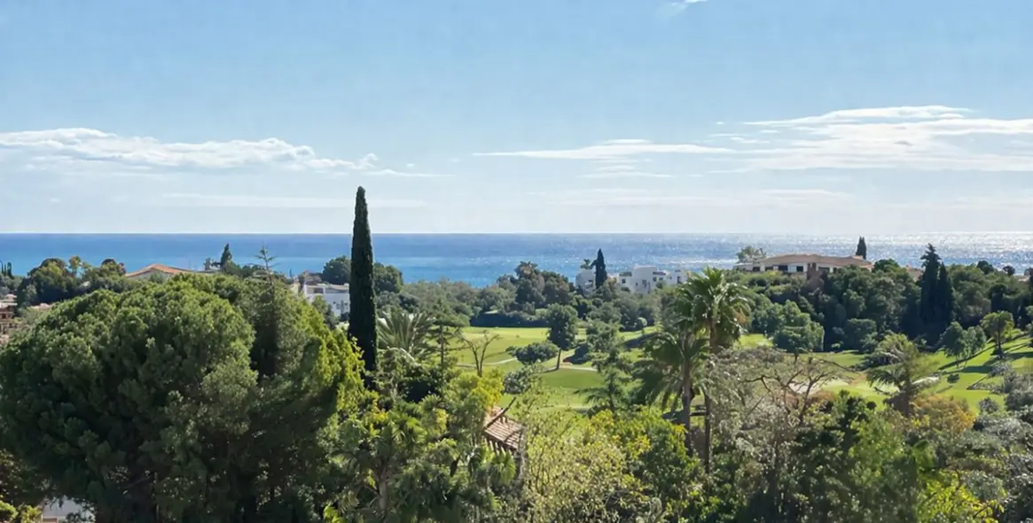 Продажа  отдельно стоящей виллы в Benahavís 3