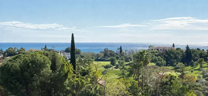 Продажа  отдельно стоящей виллы в Benahavís 2