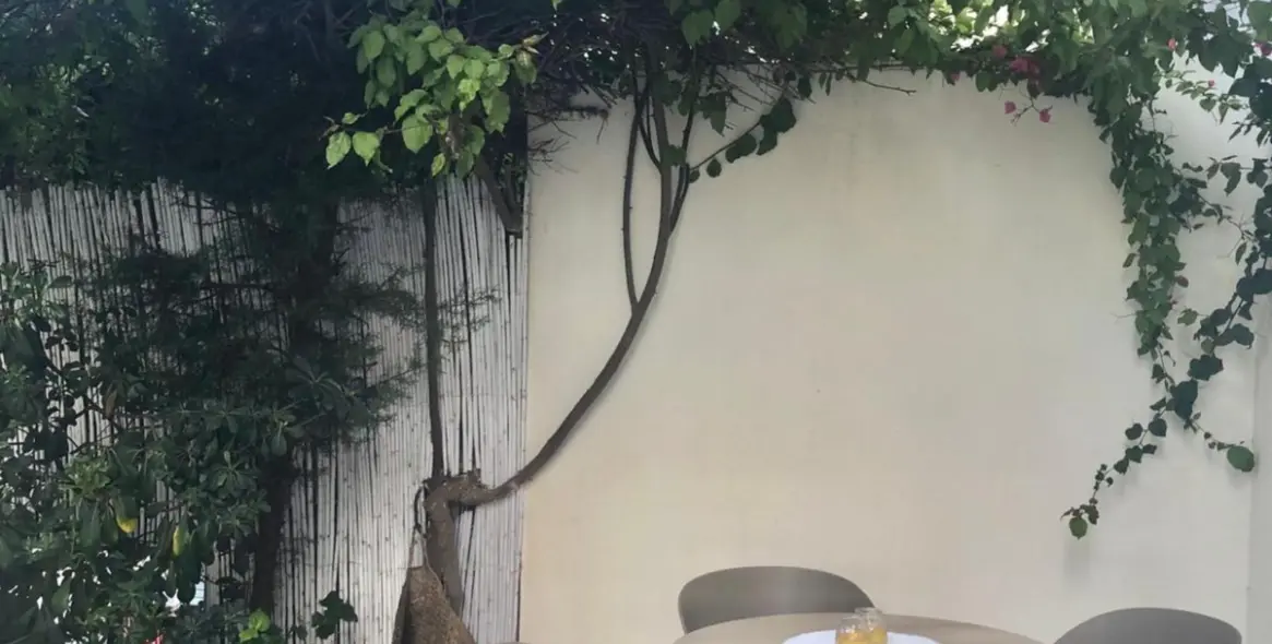 Long-term rent of ground floor apartment in San Pedro de Alcántara 14