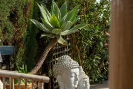 Image 9 thumb
