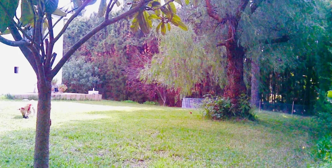 Sale of detached villa in Atalaya 10