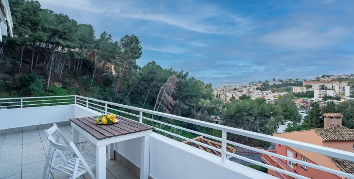 Sale of detached villa in El Candado 22