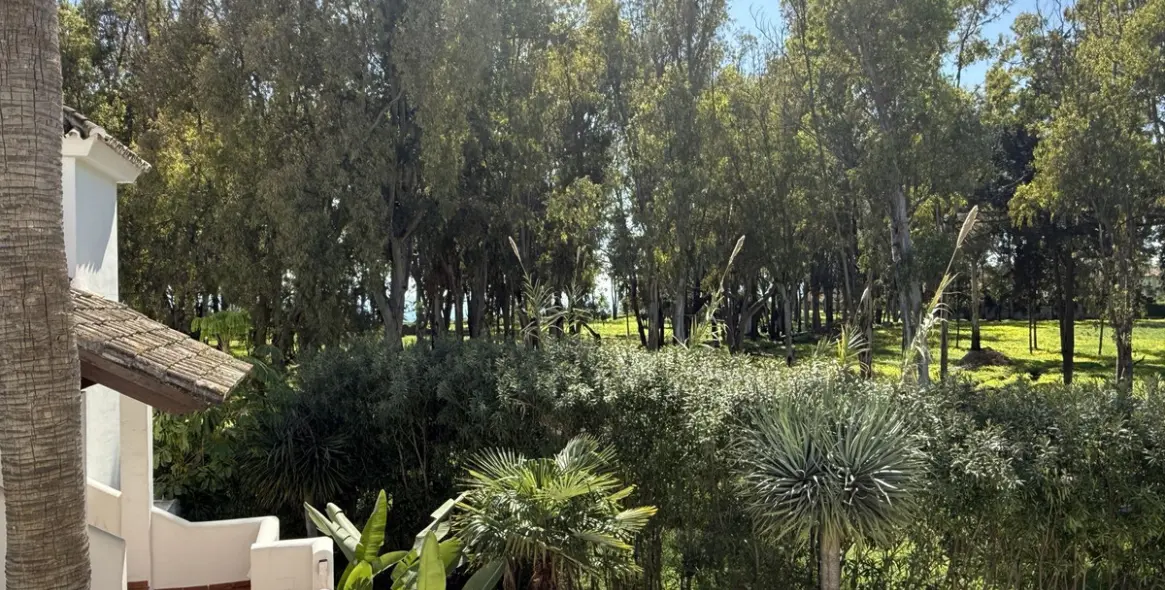 Short-term rent of penthouse in Estepona 14