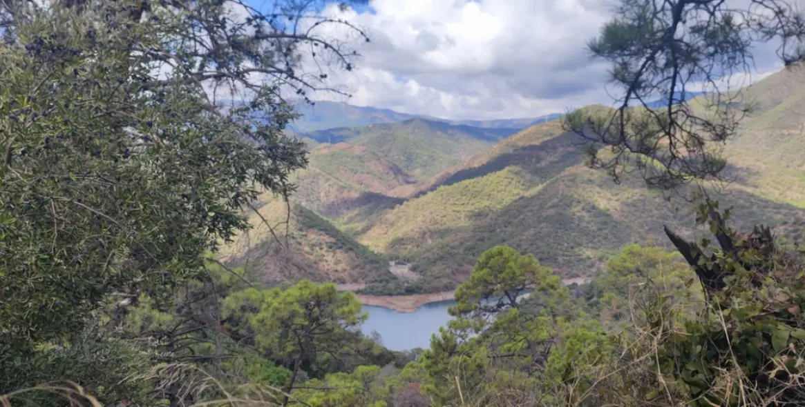 Краткосрочная аренда таунхауса в Istán 60