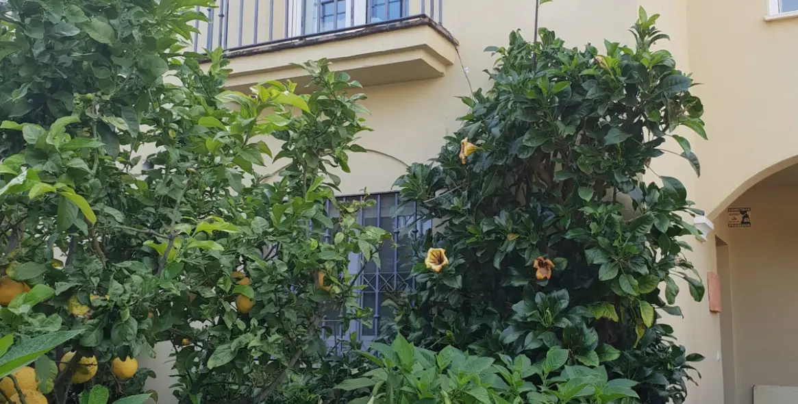 Долгосрочная аренда дома на две семьи в Guadalmina Baja 1