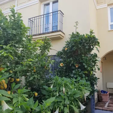 Долгосрочная аренда дома на две семьи в Guadalmina Baja