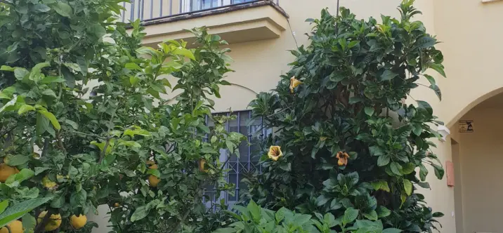 Долгосрочная аренда дома на две семьи в Guadalmina Baja 0