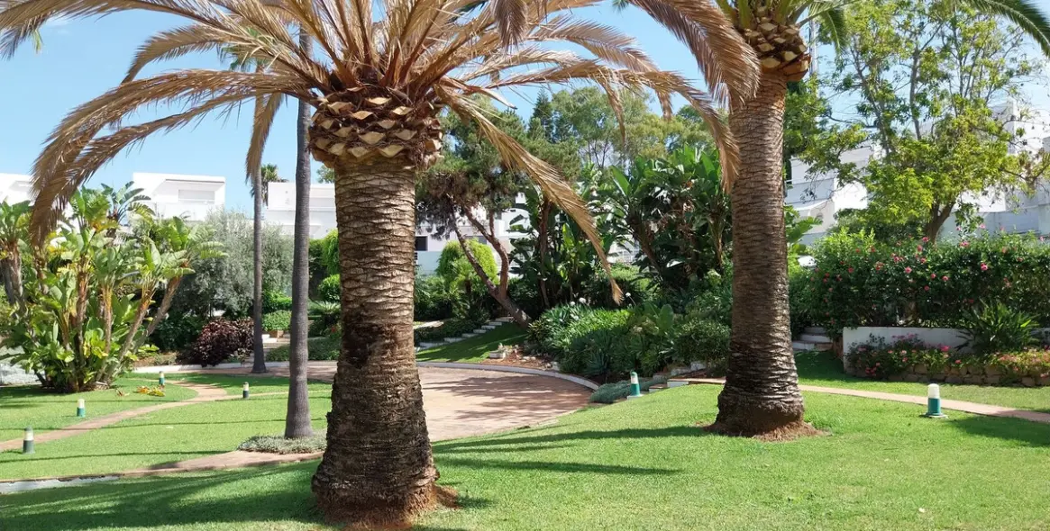 Долгосрочная аренда дома на две семьи в Guadalmina Baja 15