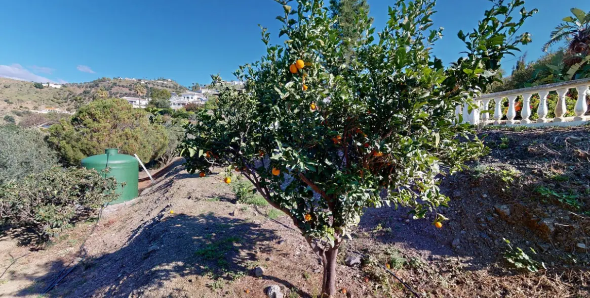 Продажа  отдельно стоящей виллы в Algarrobo 50