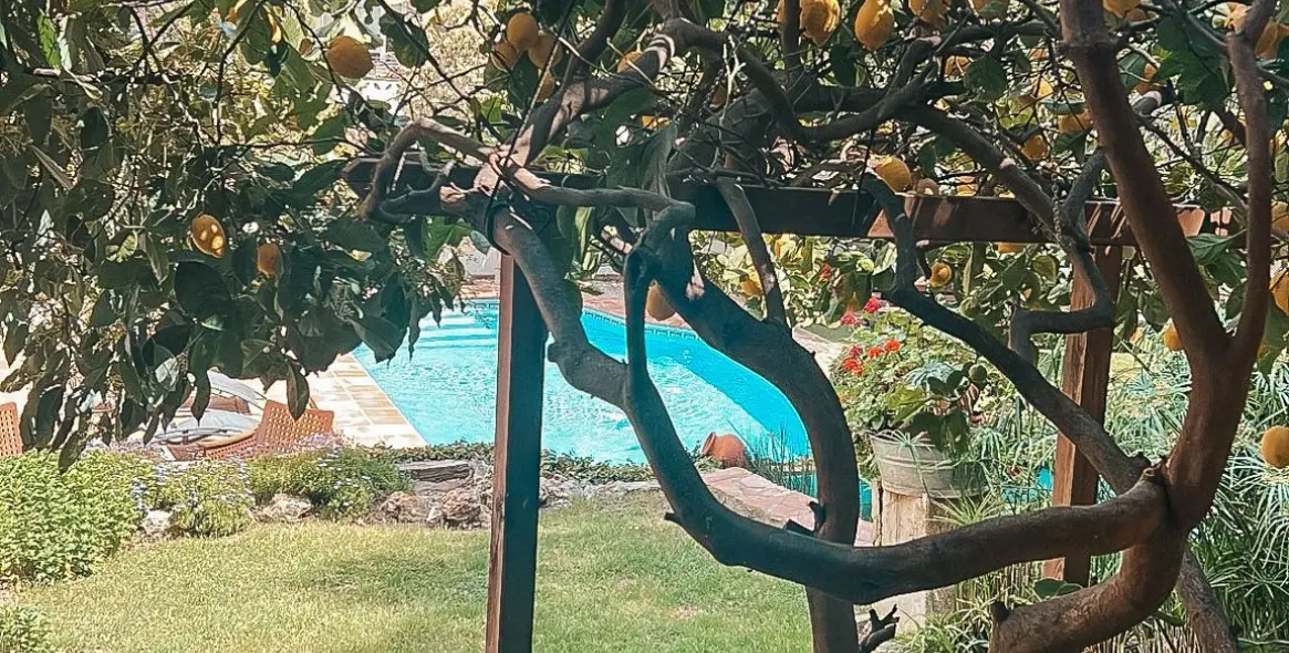 Sale of detached villa in Nueva Andalucía 4