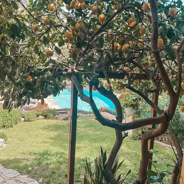 Venta de villa independiente en Nueva Andalucía