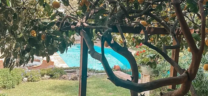 Venta de villa independiente en Nueva Andalucía 3