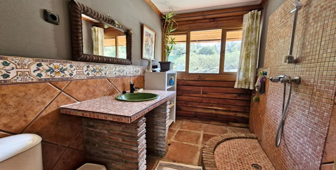 Sale of farm in Coín 17