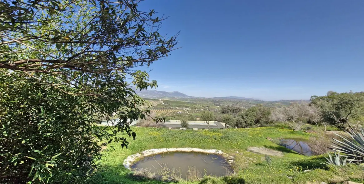 Sale of farm in Coín 34