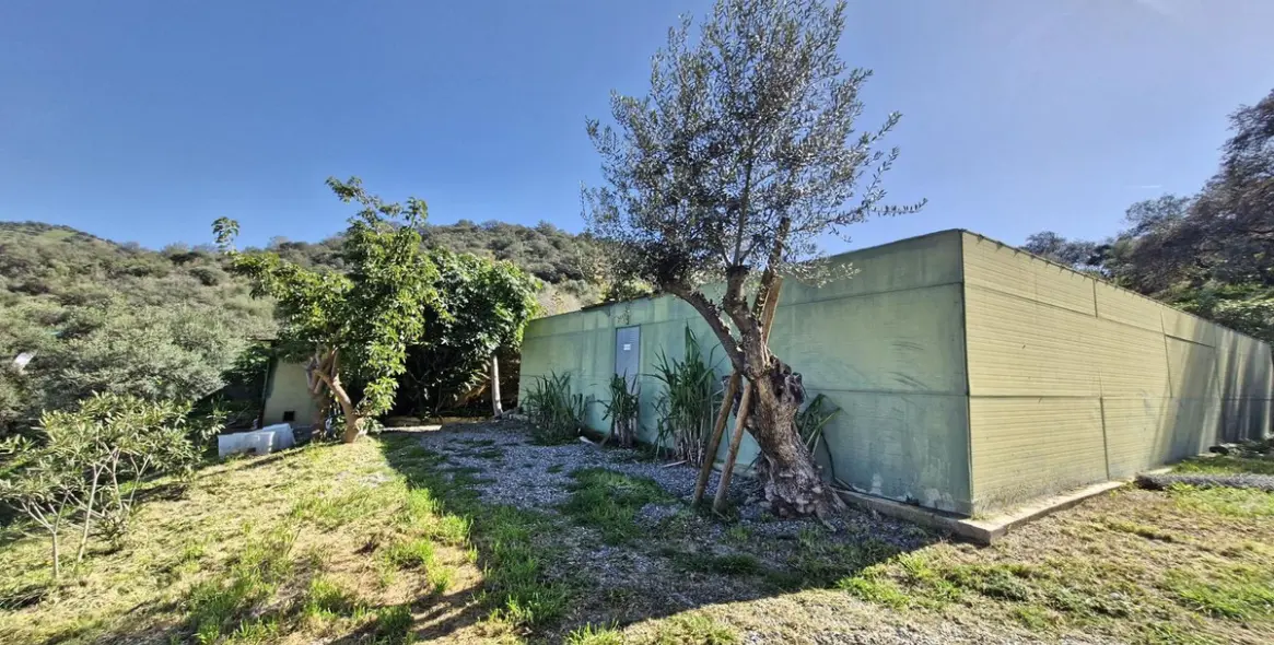 Sale of farm in Coín 38