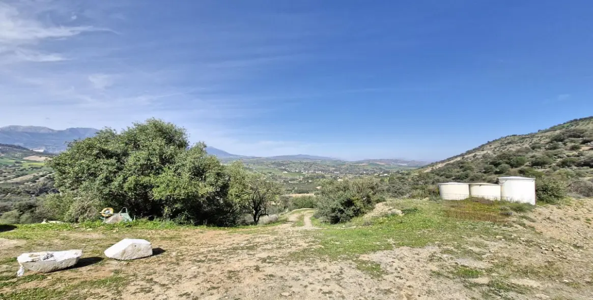 Sale of farm in Coín 50