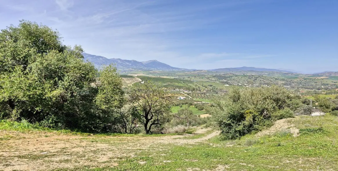 Sale of farm in Coín 52