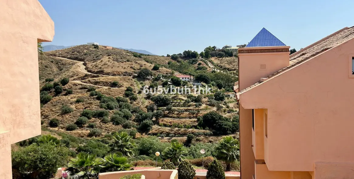 Продажа двухуровневого пентхауса в Calahonda 25