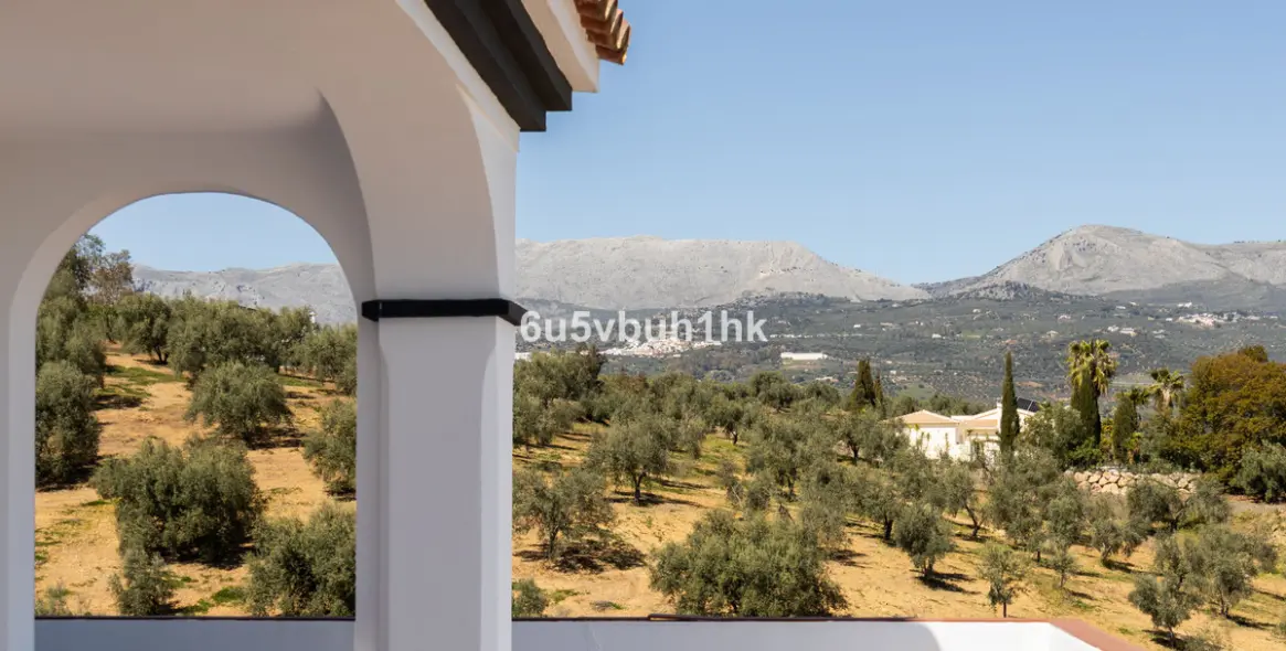 Sale of detached villa in Viñuela 18
