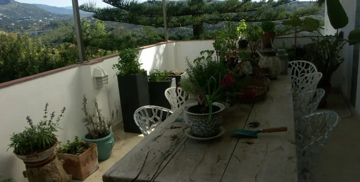 Venta de villa independiente en New Golden Mile 20