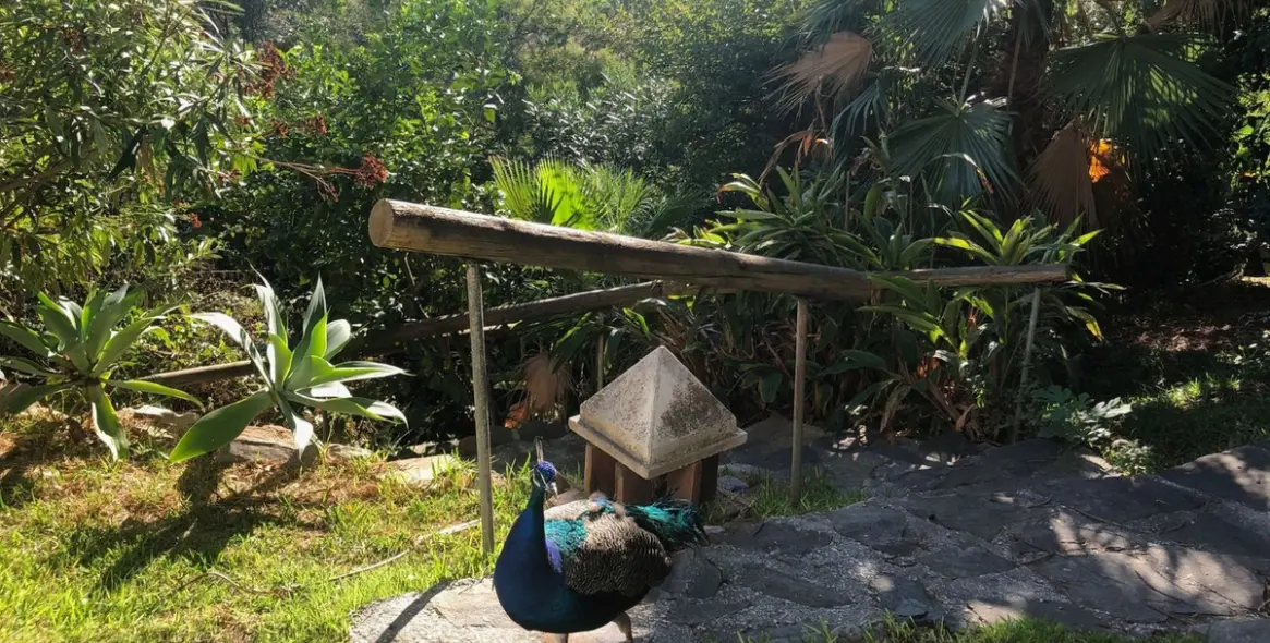 Venta de villa independiente en New Golden Mile 30