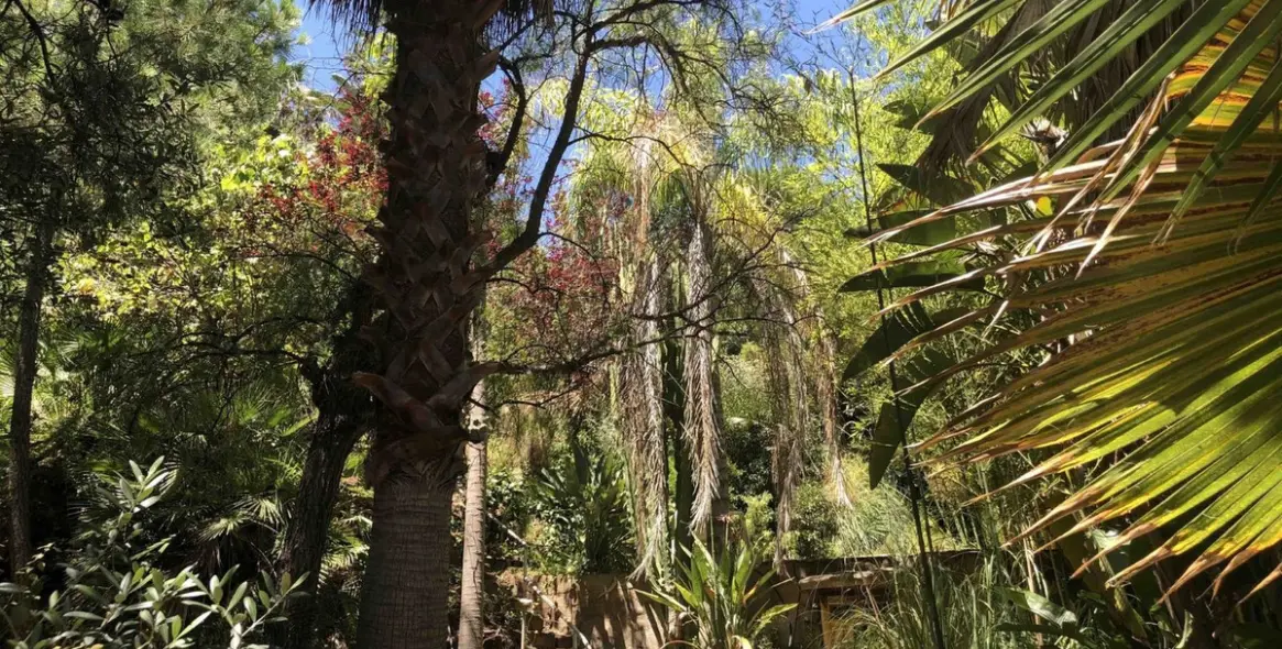 Venta de villa independiente en New Golden Mile 32