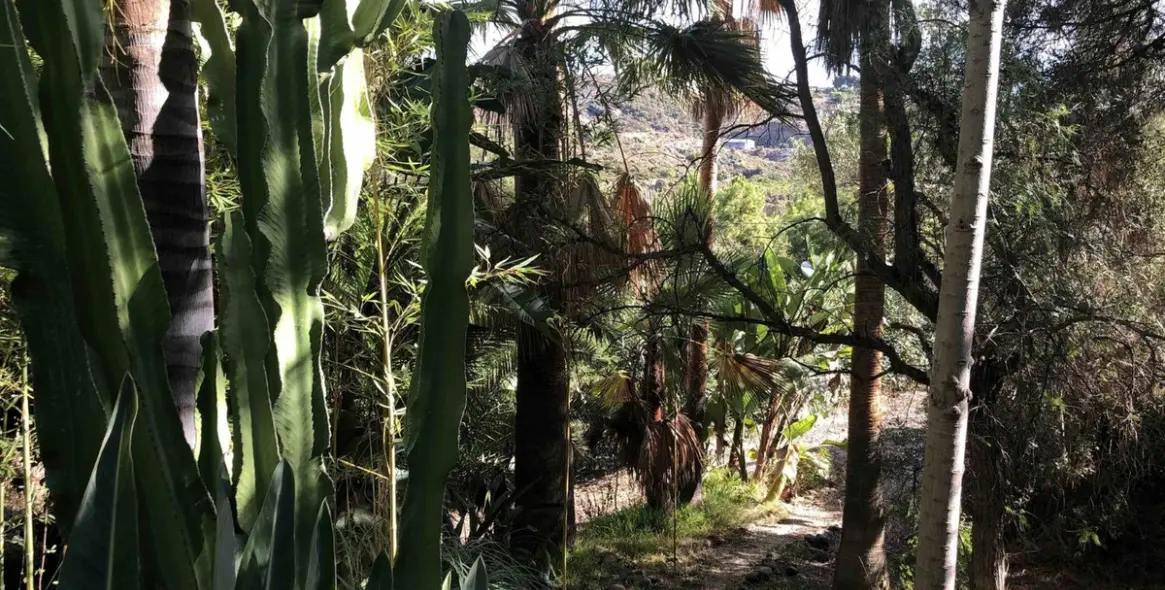 Venta de villa independiente en New Golden Mile 33