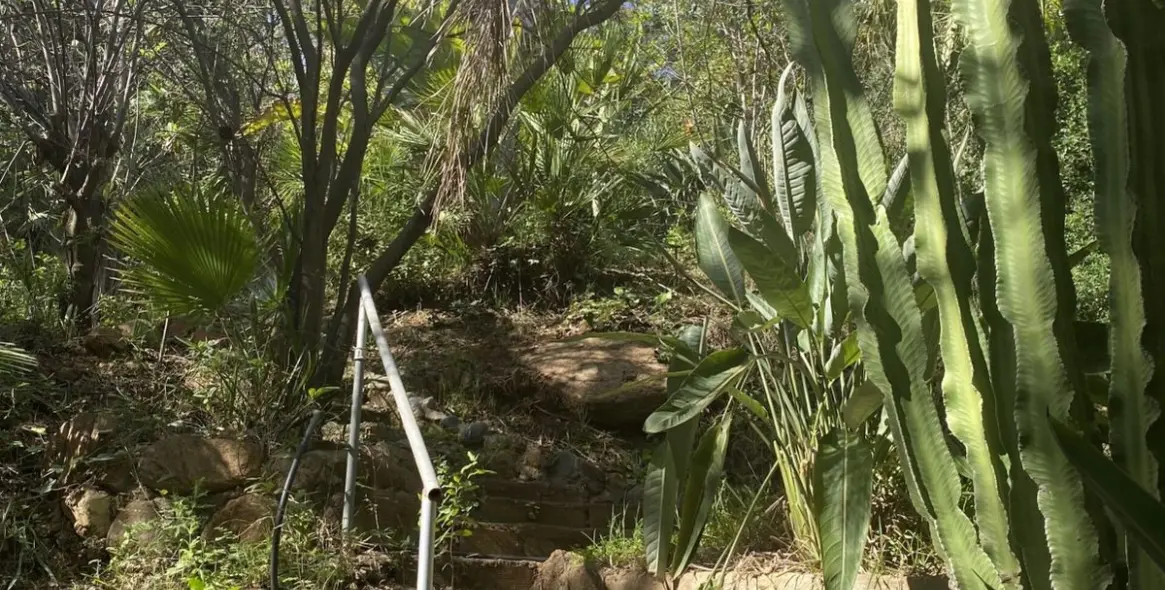 Venta de villa independiente en New Golden Mile 37