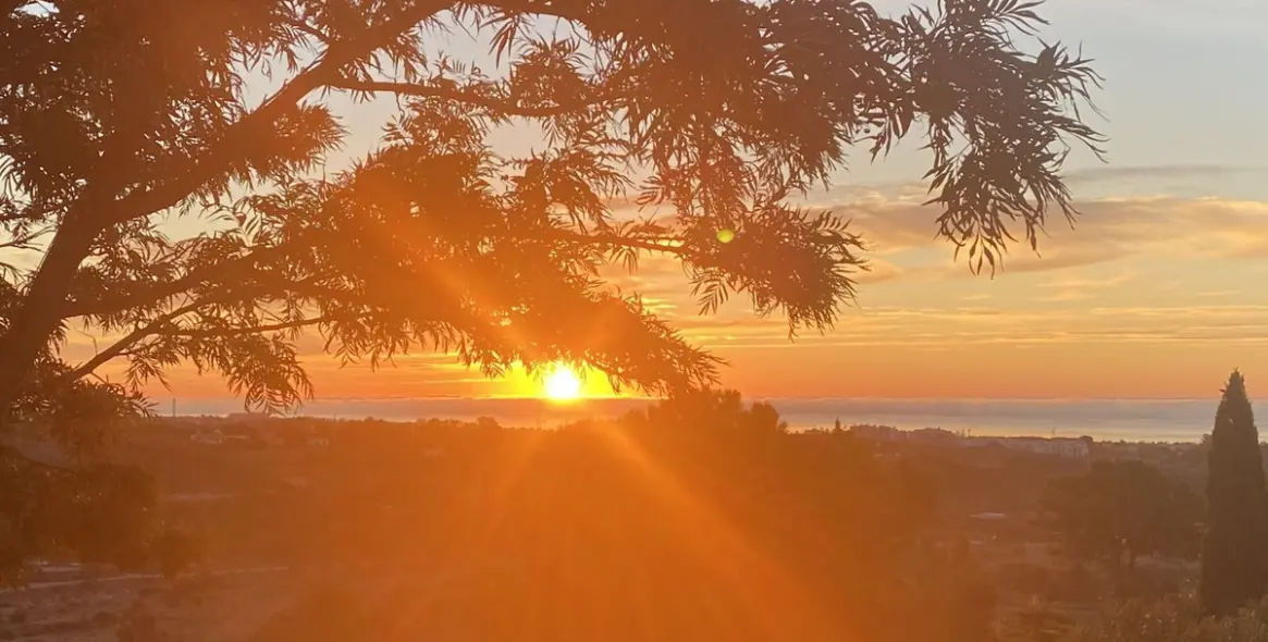 Venta de villa independiente en New Golden Mile 41