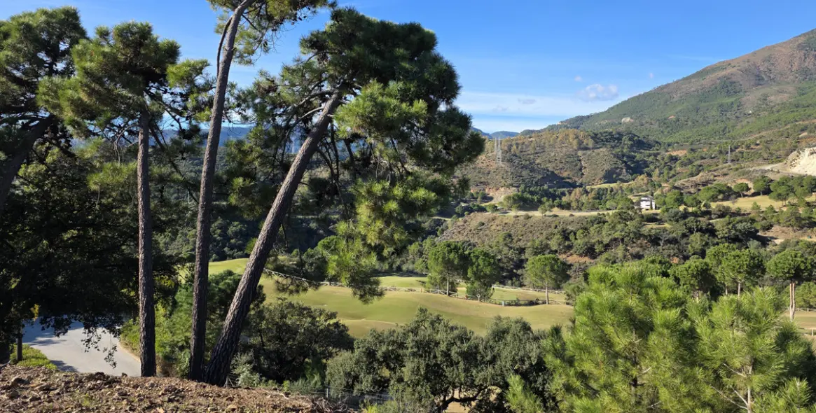 Venta de parcela residencial en La Zagaleta 3