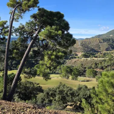 Venta de parcela residencial en La Zagaleta