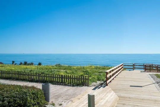 Image 21 thumb