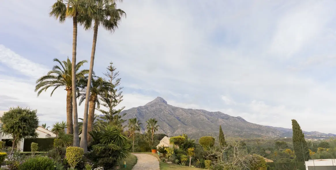 Venta de adosado en Nueva Andalucía 41