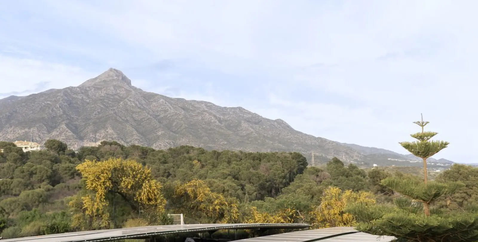 Продажа таунхауса в Nueva Andalucía 40