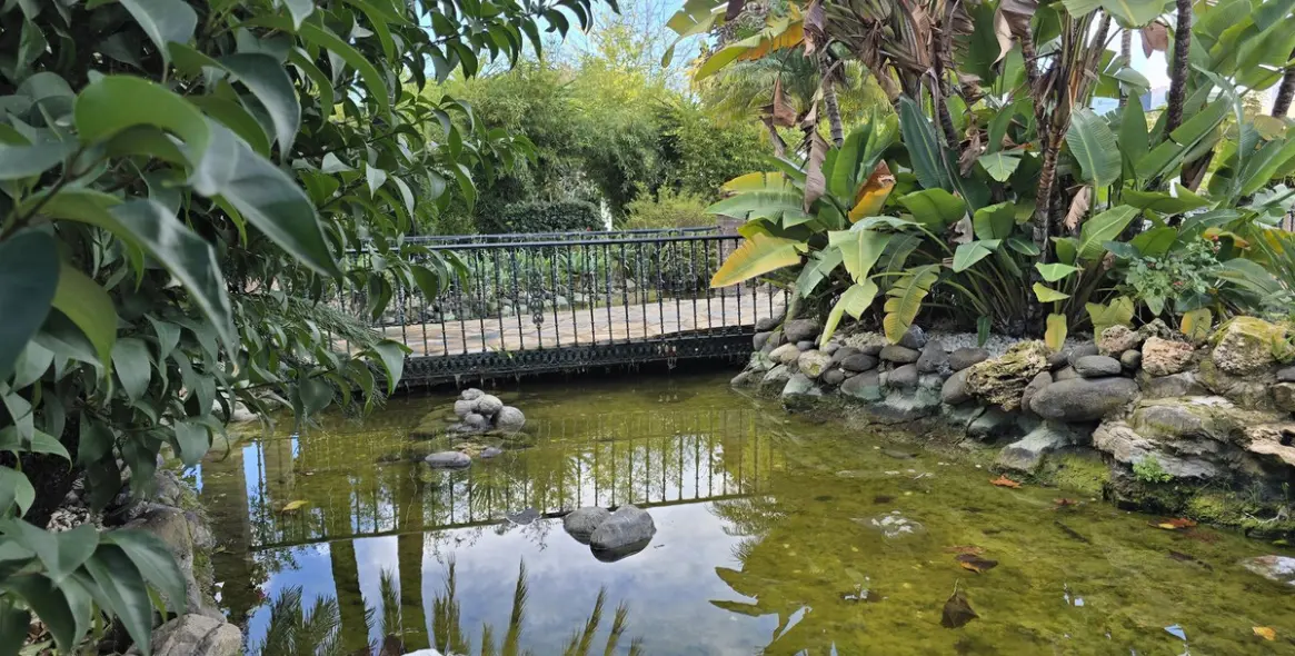 Sale of ground floor apartment in Estepona 30