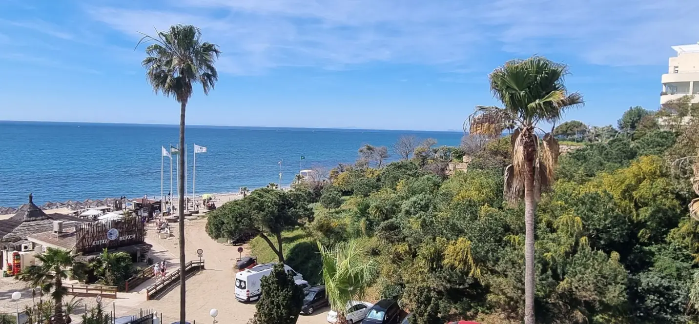 Sale of studio in Calahonda 1