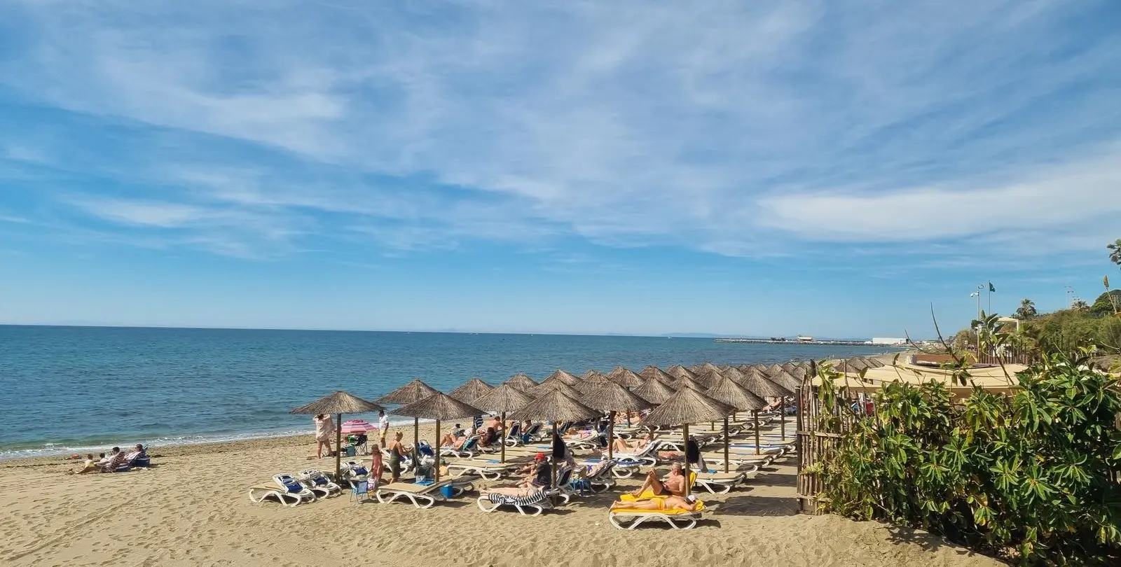 Sale of studio in Calahonda 14