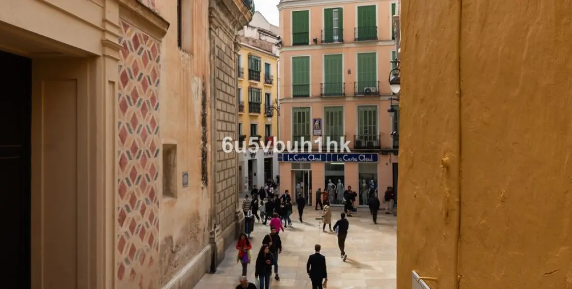 Sale of apartment complex in Malaga - Centro 47