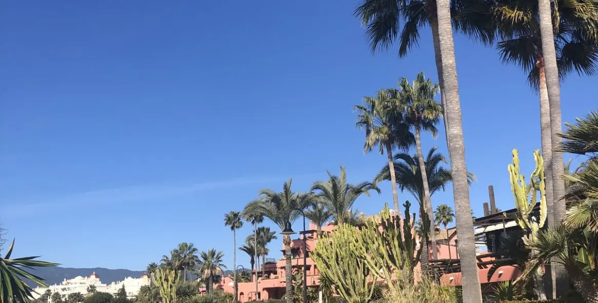 Short-term rent of middle floor apartment in New Golden Mile 19