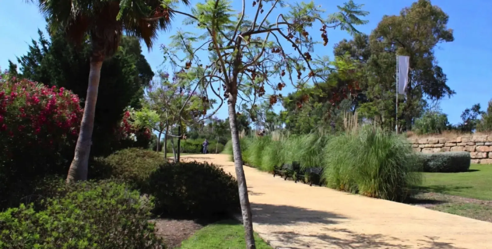 Sale of middle floor apartment in Benahavís 8