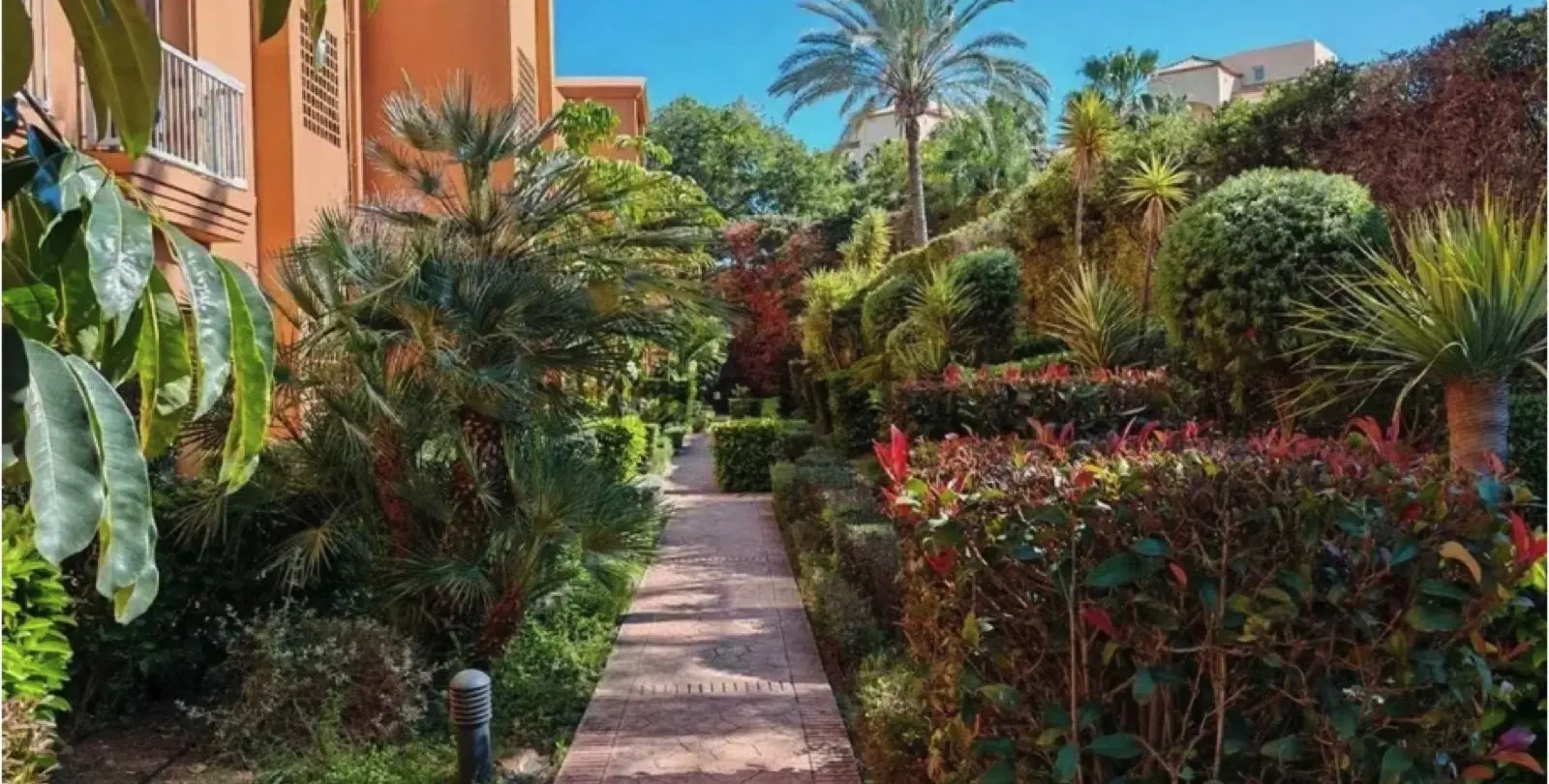 Sale of middle floor apartment in Benahavís 11