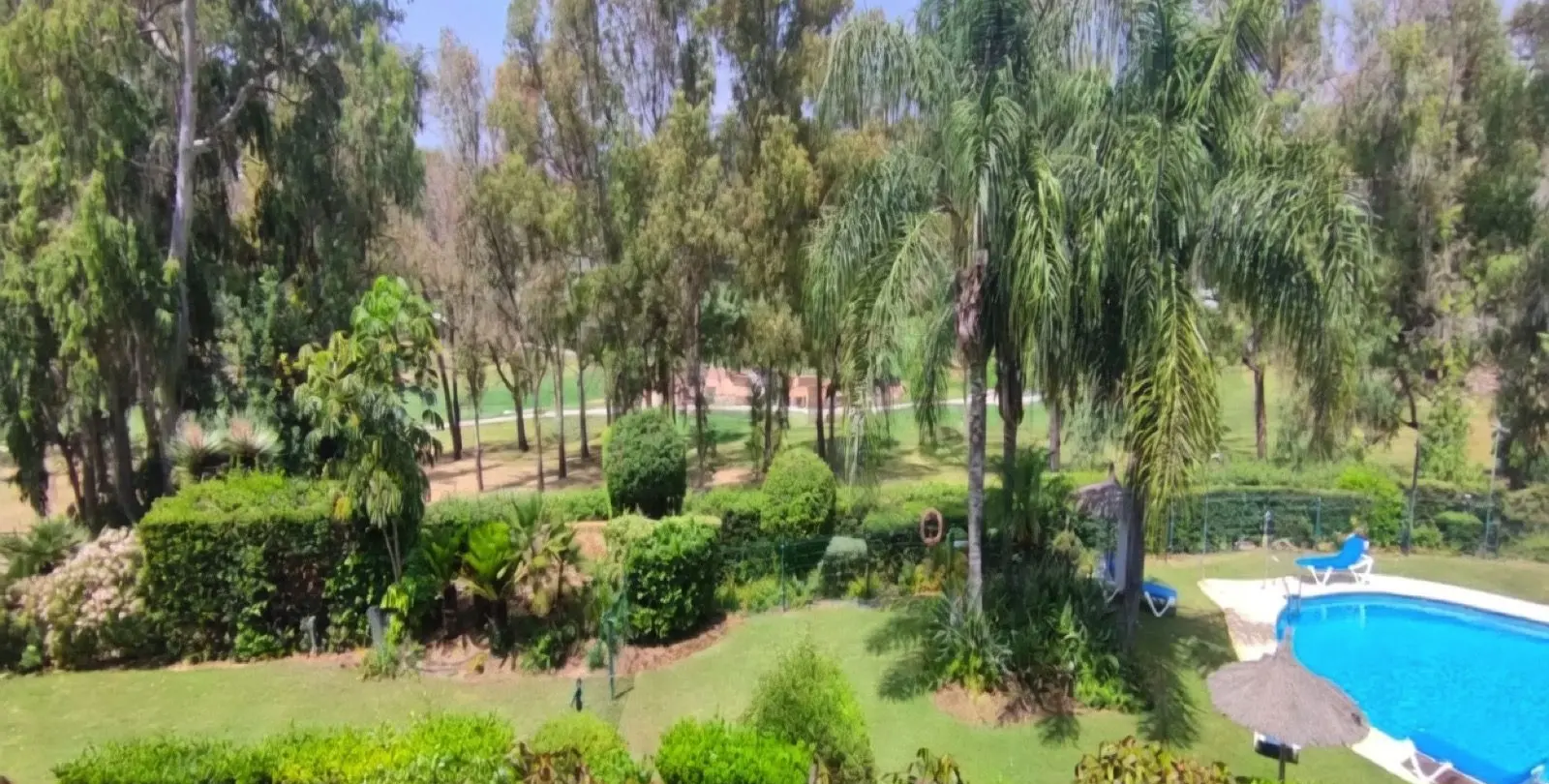 Sale of middle floor apartment in Benahavís 13
