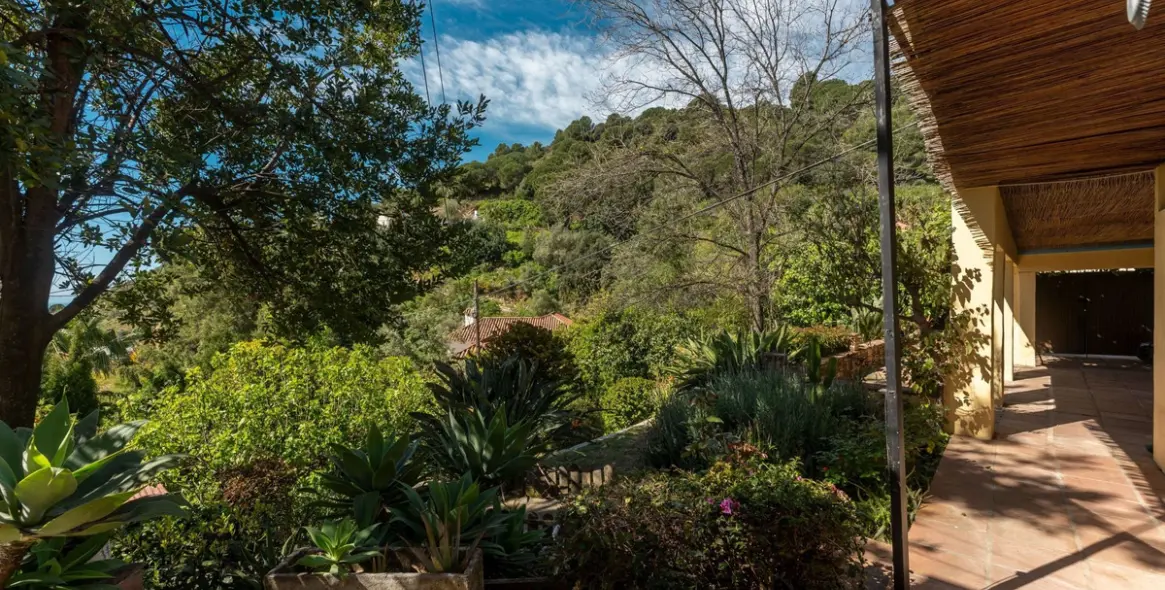Sale of finca - cortijo in Ojén 41