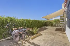 Image 4 thumb