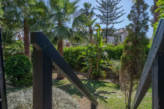 Image 60 thumb
