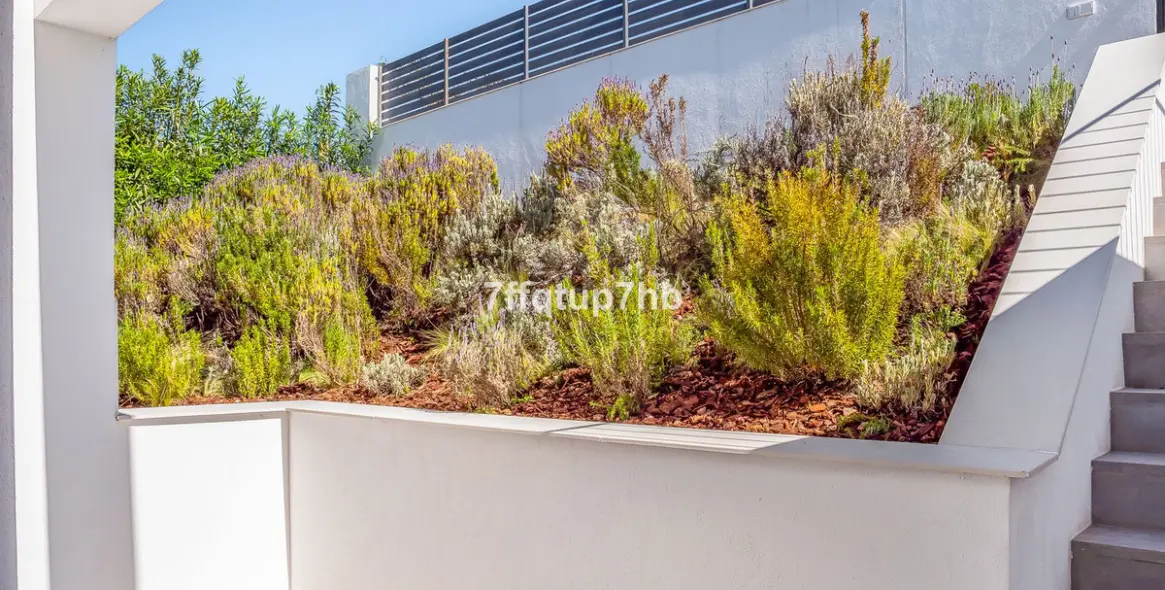 Sale of detached villa in Estepona 44