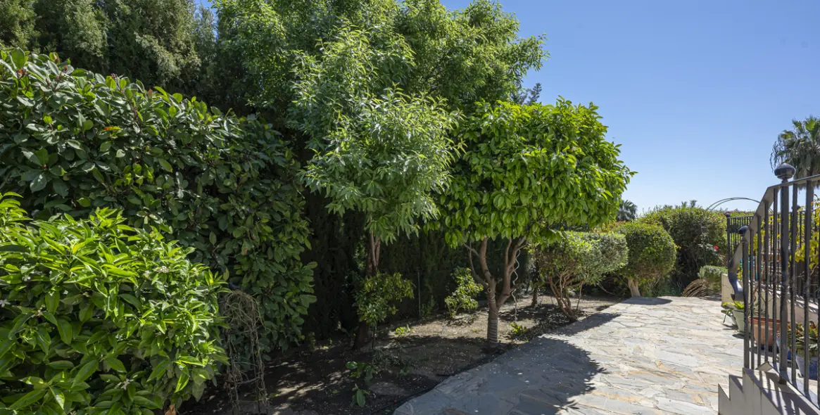 Продажа  отдельно стоящей виллы в Estepona 119