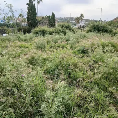 Продажа  жилого участка в Benahavís