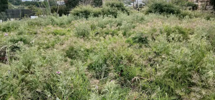 Продажа  жилого участка в Benahavís 2